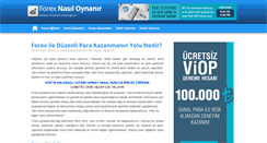 Desktop Screenshot of forexnasiloynanir.net